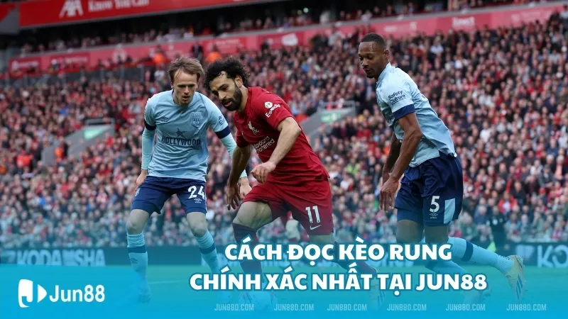 Cách đọc kèo rung chính xác nhất Jun88